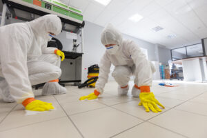 asbestos testing service