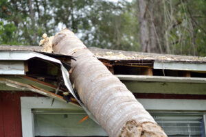 Storm Damage Restoration