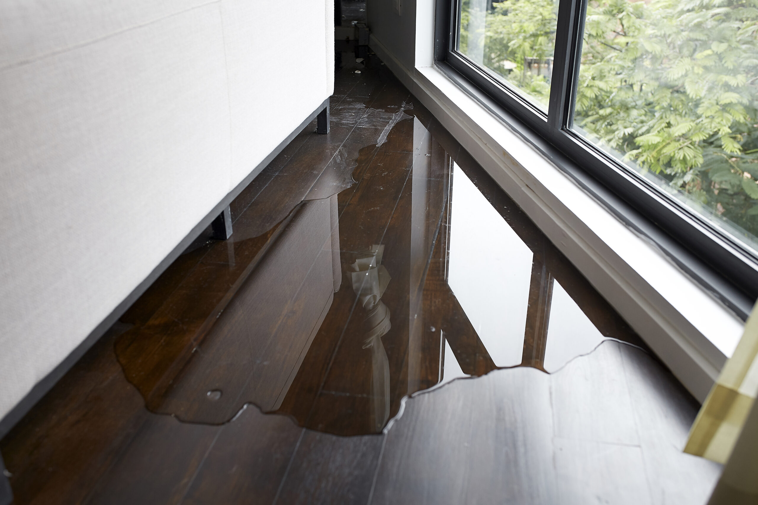 Water Damage Restoration Fort Worth Mold Remediation