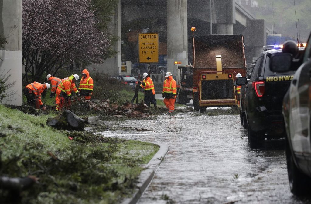 Surviving the Storm | Safety Tips
