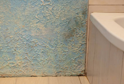 blue mold