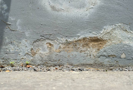white mold