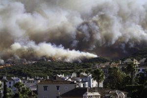 Wildfire Home Restoration