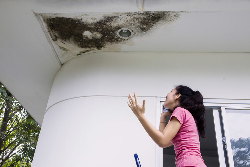 Water Damage Claims & Insurance Overview