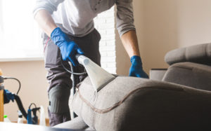 Dry cleaner's man employee removing dirt from furniture in a flat