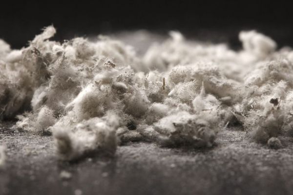 asbestos removal