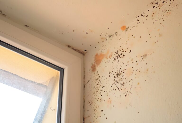 Sample of mold-prone areas in a residential home