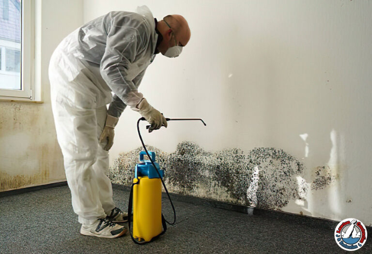 Certified mold remediation technician inspecting water-damaged home