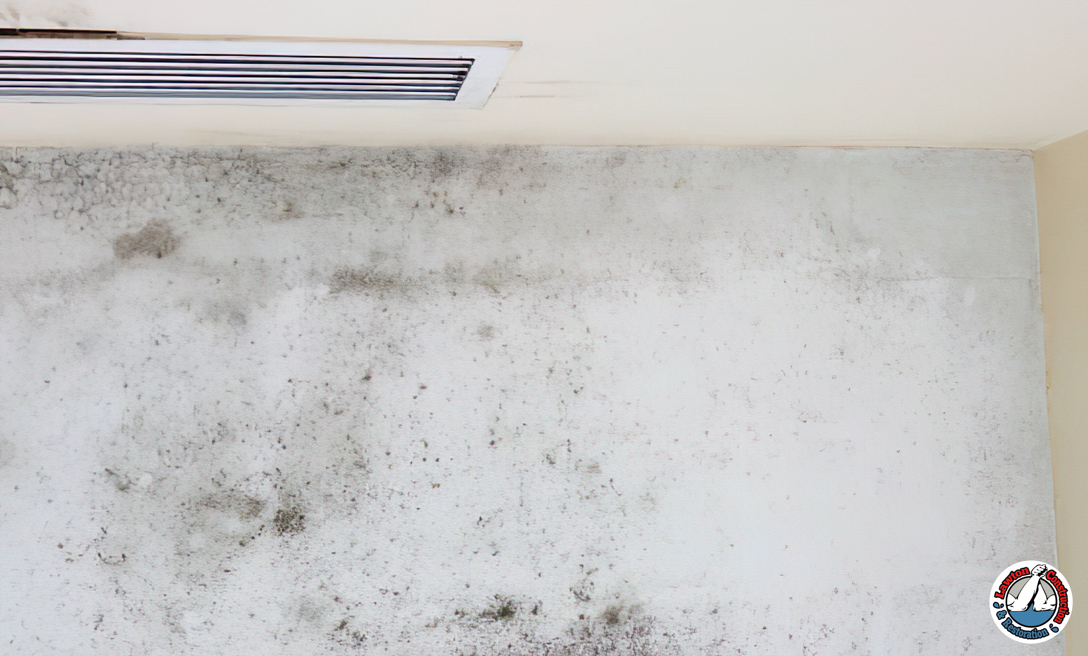 Mold growth on a damp wall in a poorly ventilated room