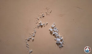Chipped paint on a wall with visible lead dust buildup
