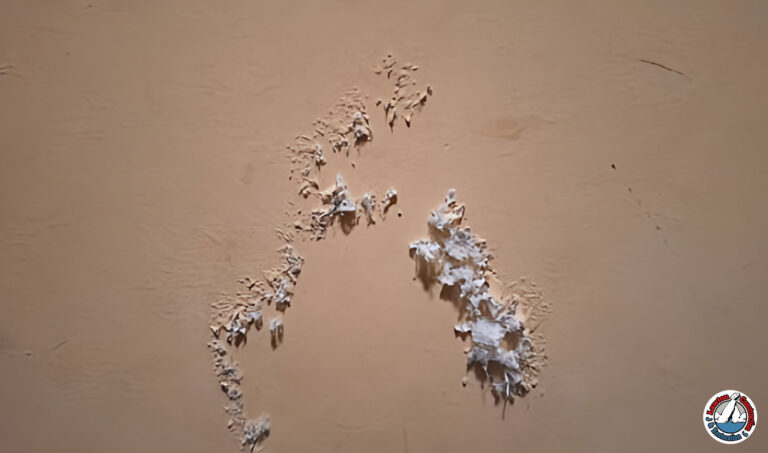 Chipped paint on a wall with visible lead dust buildup