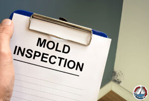 Mold damage on a wall with insurance documents