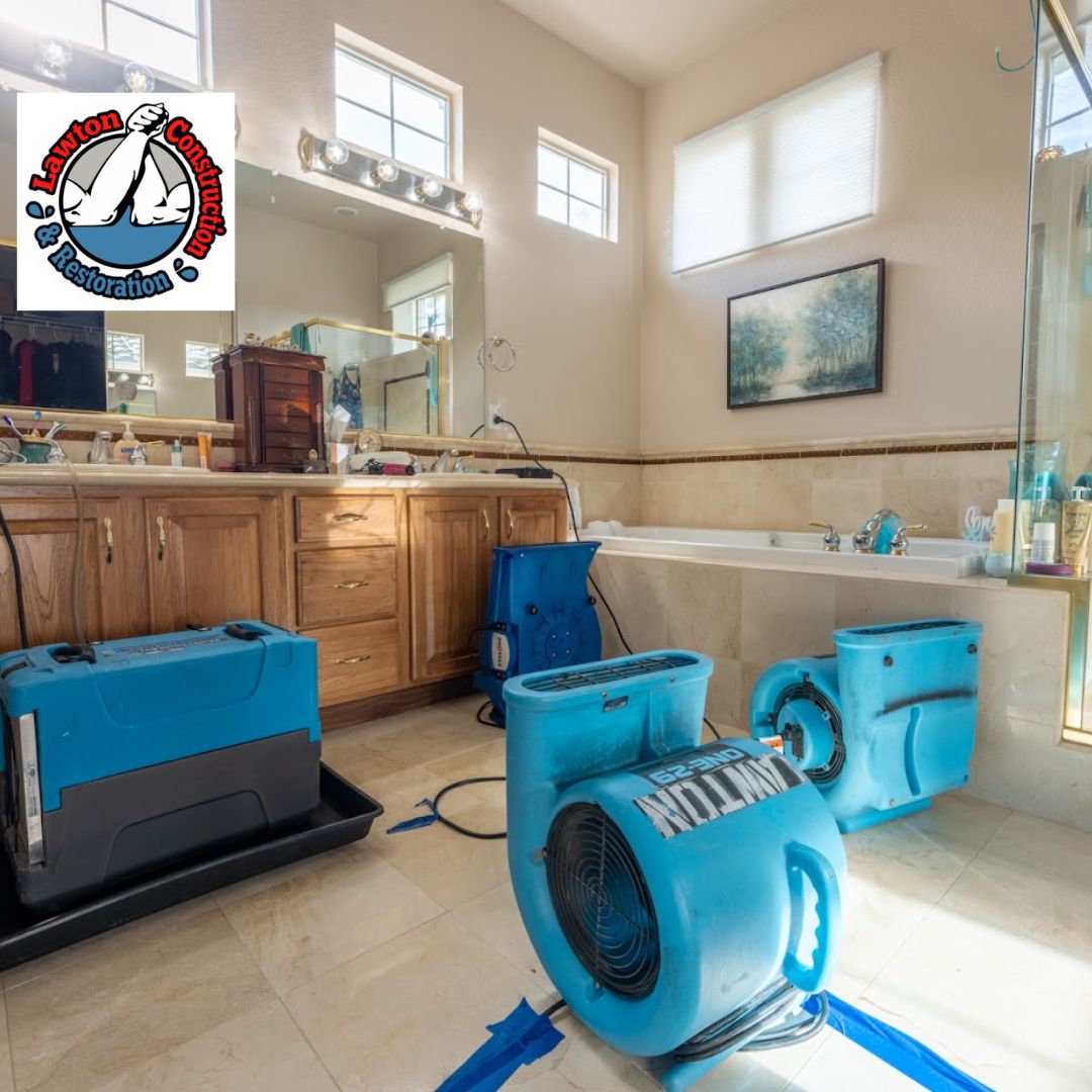 mold-restoration (17)