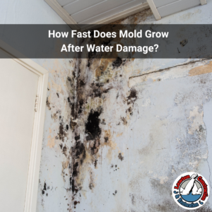 Black mold spreading across a damaged interior wall and ceiling corner after water intrusion, with the Lawton Construction & Restoration logo in the bottom right corner.