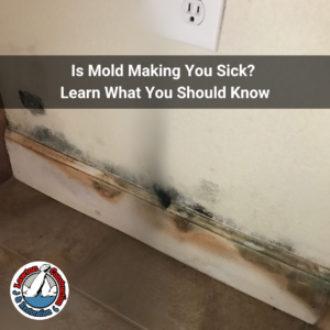 Close-up of black mold growth on a wall in a Northern California home requiring professional mold remediation